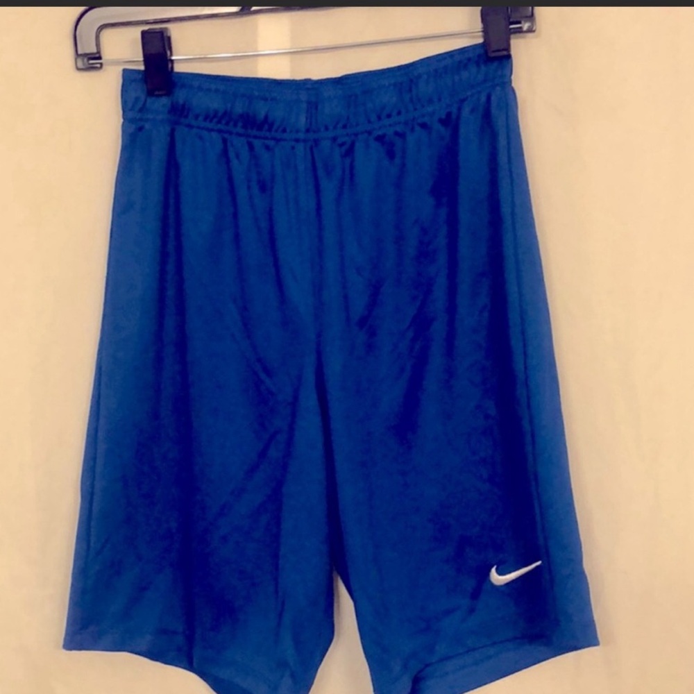 Nike Sport Shorts in Blue